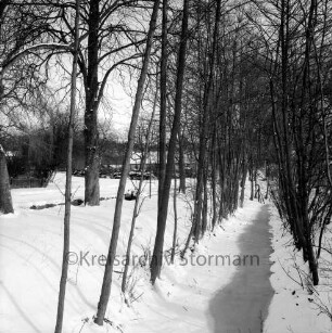Schlossgraben mit Baumbestand: links Schlossstraße: im Hintergrund Häuser