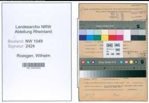 Entnazifizierung Wilhelm Roesgen , geb. 07.02.1903 (Versicherungsangestellter)