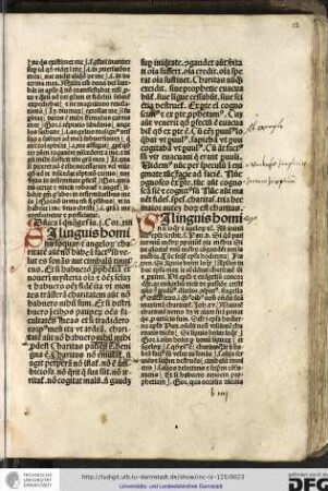 Dominica in quinquagesima, i Cor xiii.