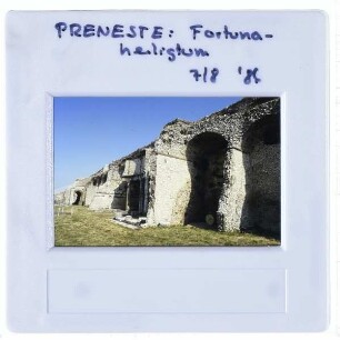 Palestrina, Praeneste,Palestrina, Praeneste - Heiligtum der Fortuna Primigenia