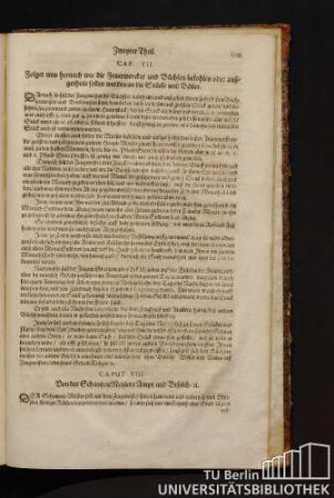 Caput VIII. Von des SchantzenMeisters Ampt und Befelch.