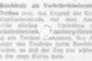 Buschholz als Verkehrshindernis