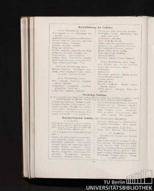 Herbstfärbung der Gehölze. Stachelige Gehölze. Rauchertragende Gehölze.