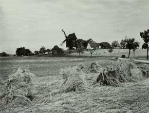 Bortewitz. Bockwindmühle und Mühlengehöft : Bortewitz. Bockwindmühle (um 1940 abgebrochen) und Mühlengehöft. Ansicht über ein abgeerntetes Getreidefeld