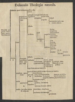 Delineatio Theologiae naturalis