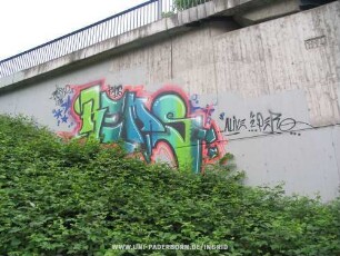 REMS
