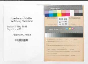 Entnazifizierung Anton Feldmann , geb. 05.12.1913 (Arzt)