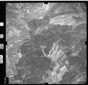 Luftbild: Film 81 Bildnr. 331
