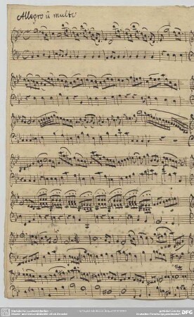 [2.] Allegro non molto