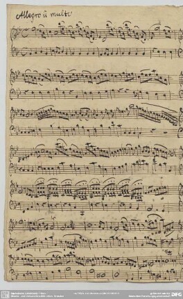 [2.] Allegro non molto