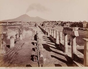 Pompei. Veduta generale del Foro Civile