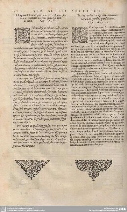 Sesta propositione digran numero di colonne piccole: metterle in opera grande,e riufcir bene. Cap. XLVI.