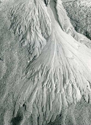 Spuren fließenden Wassers im Sandboden, Watt