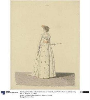 Gallery of Fashion: Fig. 236: Evening Dress