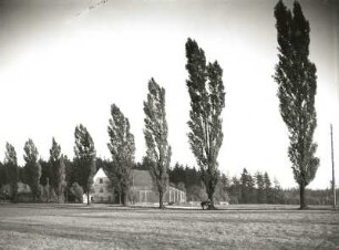 Landschaftspflege. Pyramidenpappeln als Straßenbäume