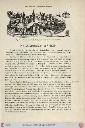 ⟦Neckarbischofsheim⟧