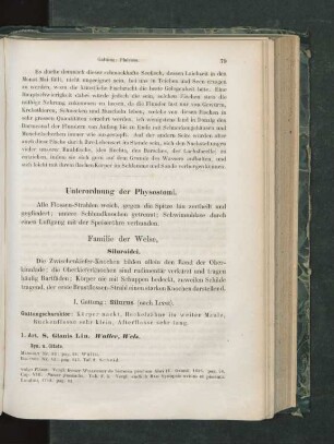 Unterordnung der Physostomi