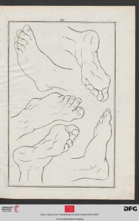 Taf. 10-11 [Fußstudien (Kontur)]