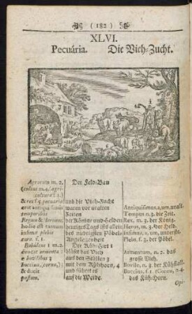 XLVI. Pecuária. Die Vieh-Zucht