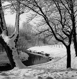Beste: Kurpark beim Salzteich: vorn Bäume mit Raureif und Schnee: Winter