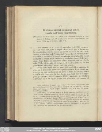 XV. Di alcune epigrafi sepolcrali arabe trovate nell'Italia meridionale.