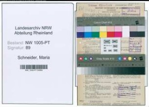 Entnazifizierung Maria Schneider , geb. 19.06.1900 (Hausfrau)