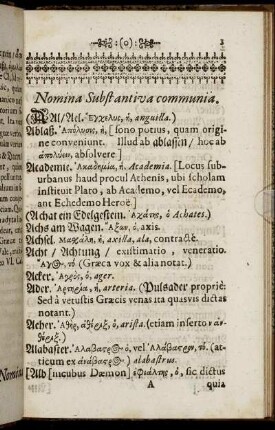 Nomina Substantiva communia.