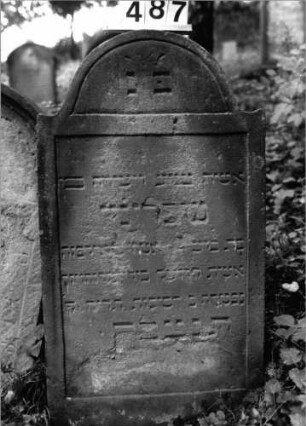 Grabstein 487 (Index: 99803804) Material: Sandstein Zustand: z. T. verwitt/Textverlust Maße HxBxT: 104x57x12 cm Beschreibung: Stele mit Karniesbogen, profilierter Rand: Grabstein 487
