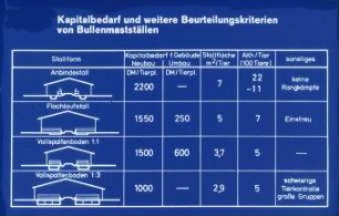 Kapitalbedarf und weitere Beurteilungskriterien von Bullenmastställen