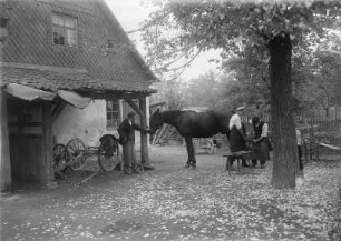 Dorfschmiede : Frohburg, Dorfschmiede. Hufbeschlag im Hof der Schmiede