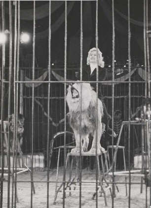 Circus Williams, ohne Ortsangabe, ohne Jahr