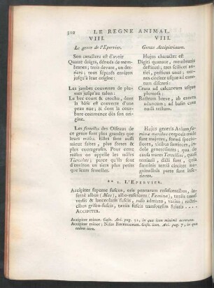 VIII. Genus Accipitrinum.