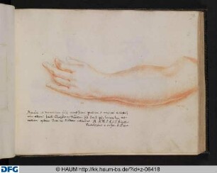 [Hand und Unterarm]