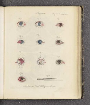 [Tafel LXVIII. - Tafel LXXXV.]