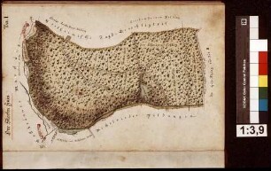 Geometrische Grundrisse über alle gemeinherschaftlichen Löwenstein-Wertheimischen Waldungen, welche sowohl in der Grafschaft Wertheim als auch außerhalb derselben gelegen