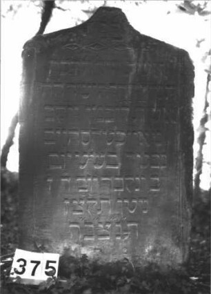 Grabstein 375 (Index: 99898359) Material: Sandstein Zustand: leicht angewittert Maße HxBxT: 100x60x9 cm Beschreibung: Stele mit oben abgeflachtem Kielbogenabschluss, im Bogenfeld Ranken und Rautenband Symbolik: Ranken, Rautenband: Grabstein 375