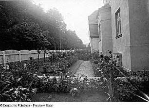 Wohnhaus : Wohnhäuser mit Vorgärten