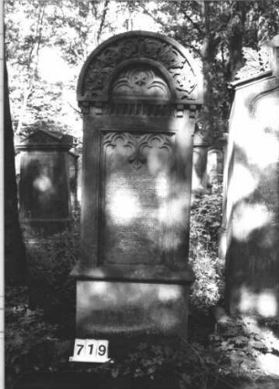 Grabstein 719