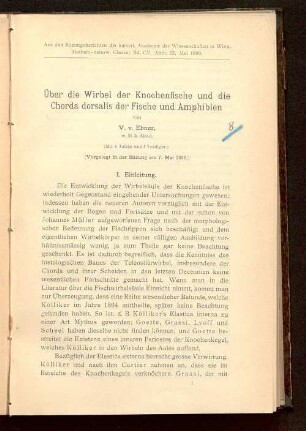 Über die Wirbel der Knochenfische und die Chorda dorsalis der Fische und Amphibien : (vorgelegt in der Sitzung am 7. Mai 1896)