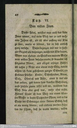 Kap. VI. Vom wilden Feuer