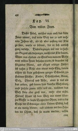 Kap. VI. Vom wilden Feuer