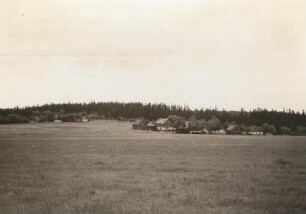 Waldsiedlung