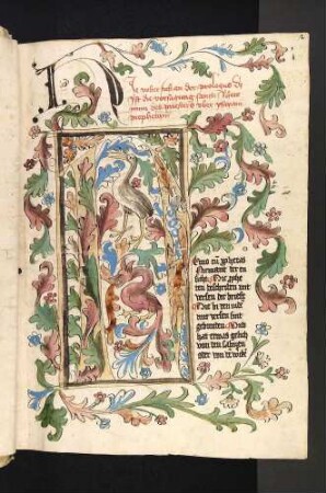 N-Initiale mit Drache und storchenähnlichem Vogel