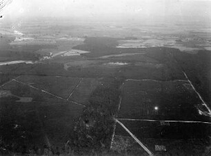 Wälder zwischen Halbe und Baruth