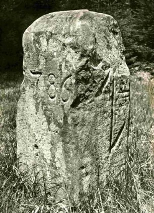 Kaiserslautern: Grenzstein, Stiftswald. Wilking