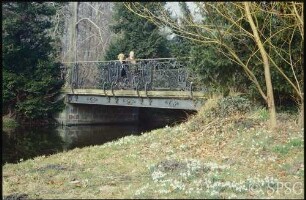 Potsdam, Park Sanssouci, Frühblüher.