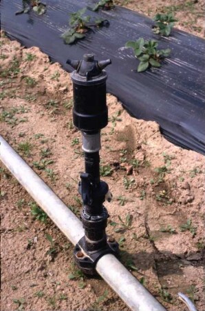 Fotografie: Gartenbautechnik-Freiland, Beregnungsanlage, Bewässerung, Frostschutz