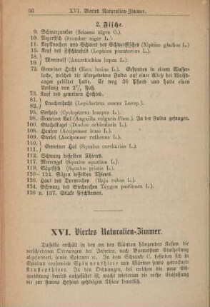 XVI. Viertes Naturalien-Zimmer.