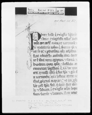 Evangeliar — Initiale P(lures fuisse), Folio 1verso