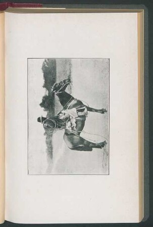 [Gaucho]